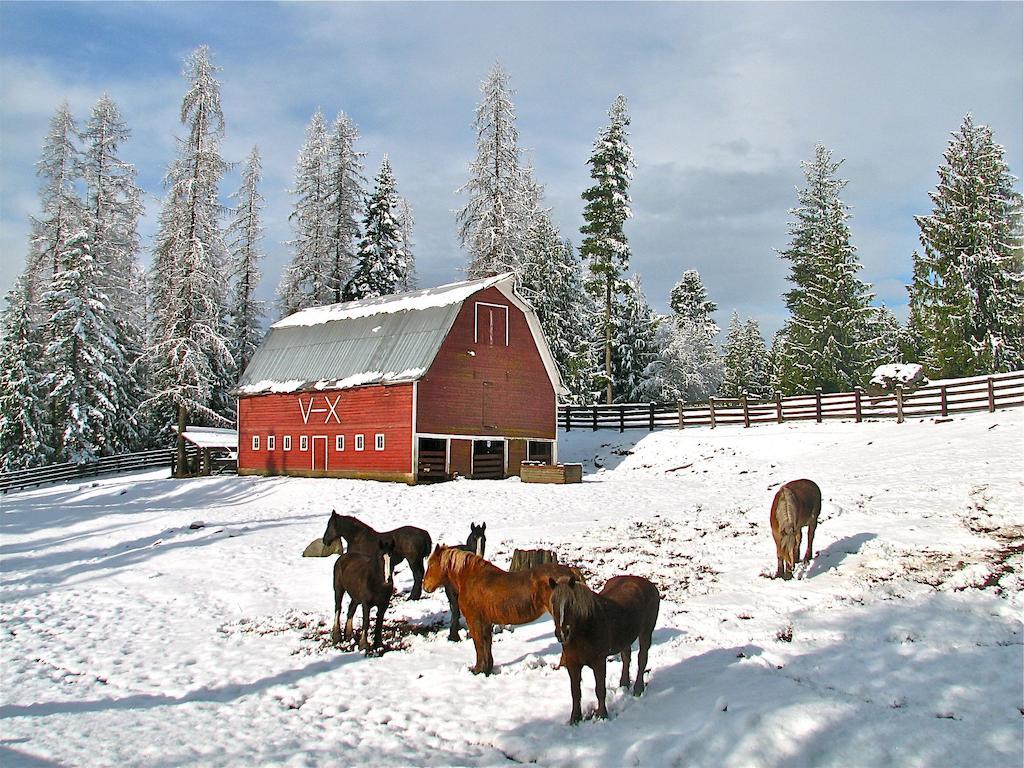 Western Pleasure Guest Ranch Sandpoint Extérieur photo