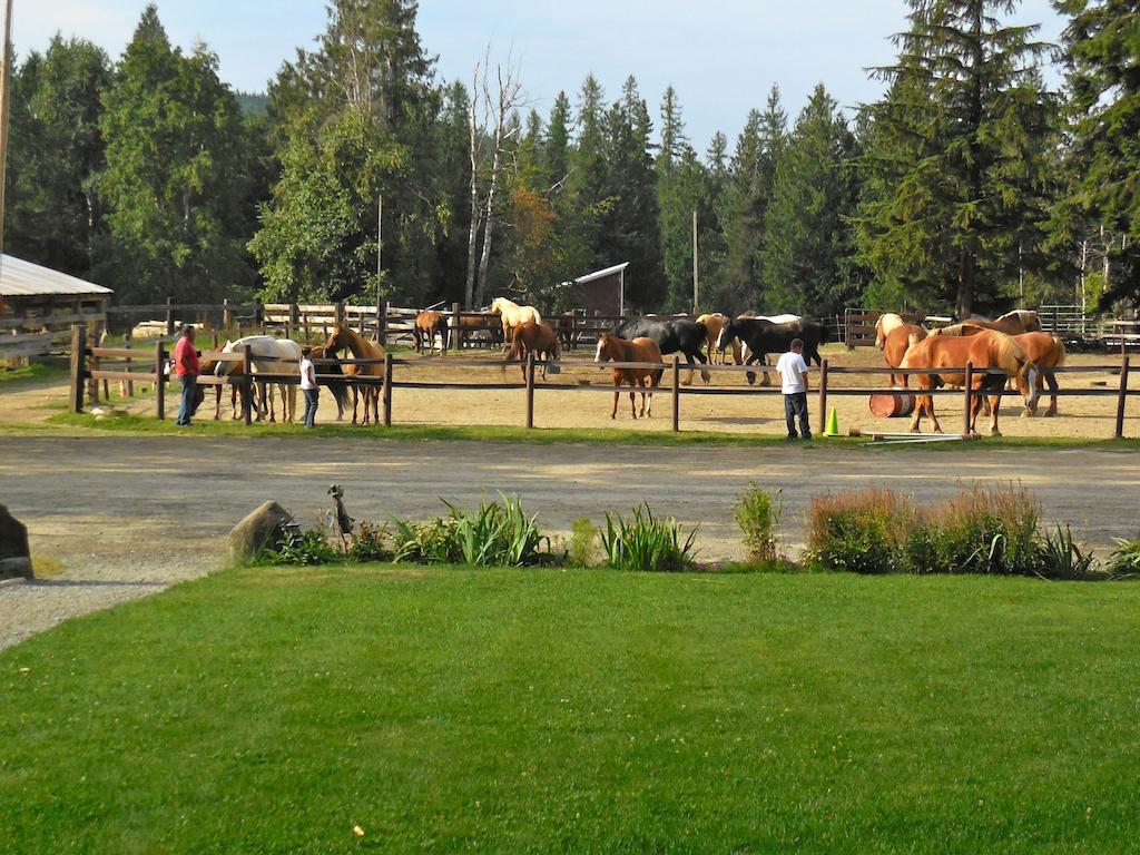 Western Pleasure Guest Ranch Sandpoint Extérieur photo